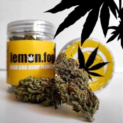 Wild Mountain CBD  - Lemon Fog