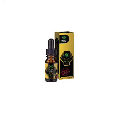 Plant Of Life CBD Oil 6% 10ml