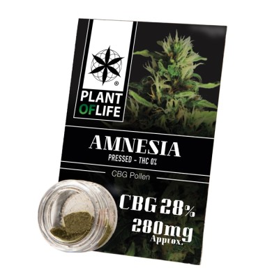Plant Of Life Pollen 28% CBG Amnesia 1gr