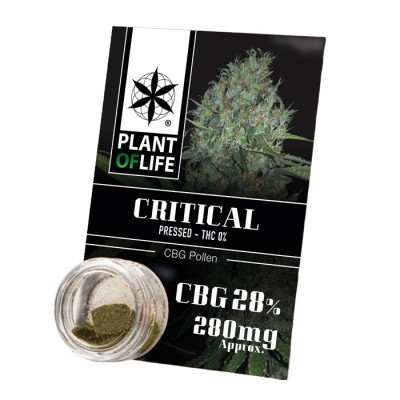Plant Of Life Pollen 28% CBG Critical 1gr