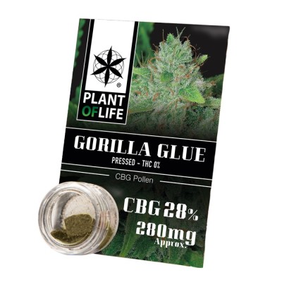 Plant Of Life Pollen 28% CBG Gorilla Glue 1gr