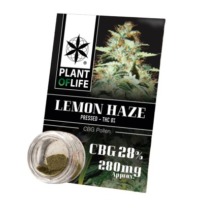 Plant Of Life Pollen 28% CBG Lemon Haze 1gr