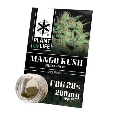 Plant Of Life Pollen 28% CBG Mango Kush 1gr