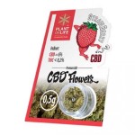 Plant Of Life Strawberry 0.5g