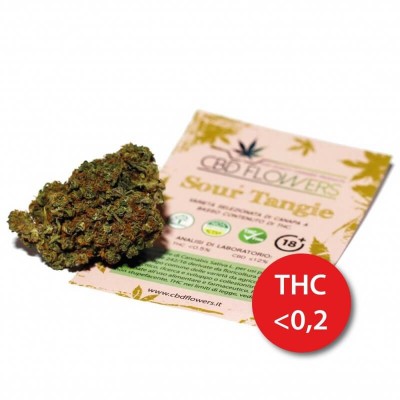 CBD Flowers Sour Tangie 2gr