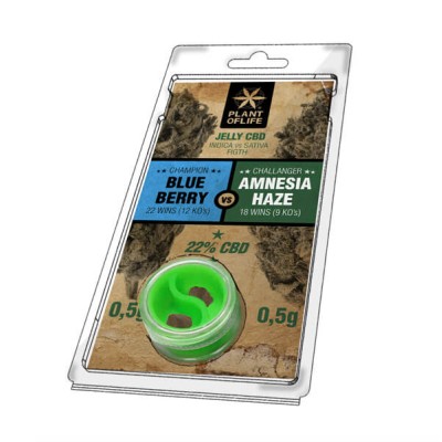 Plant Of Life CBD Jelly 22% Blueberry vs Amnesia Haze 0,5g