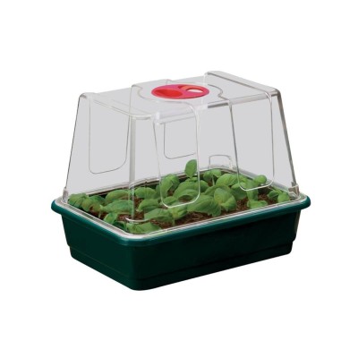 Small High Dome Propagator