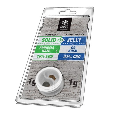 Plant Of Life Solid vs Jelly Amnesia Haze vs OG Kush 1+1gr