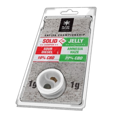 Plant Of Life Solid vs Jelly Sour Diesel vs Amnesia Haze 1+1gr