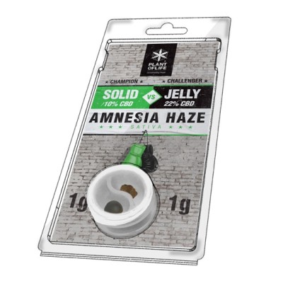 Plant Of Life Solid vs Jelly Amnesia Haze 1+1gr