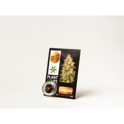 Plant Of Life CBD 3.8% Chokoloko