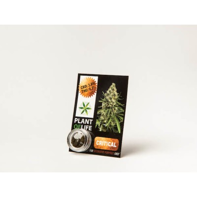 Plant Of Life CBD 3.8% Critical
