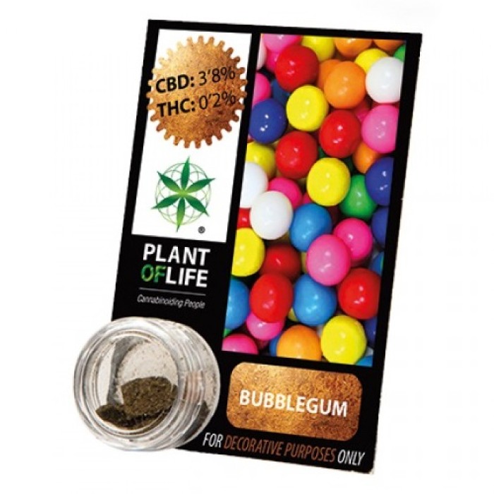 Plant Of Life CBD 3.8% Bubblegum