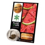 Plant Of Life CBD 3.8% Watermelon