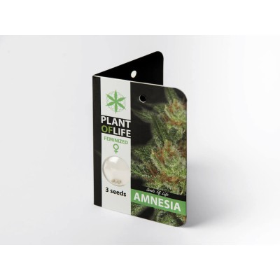 Plant Of Life Amnesia 3 Σπόροι