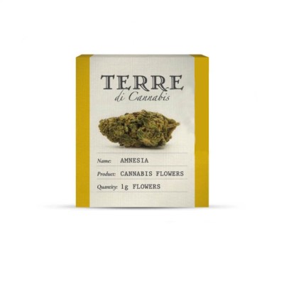 Terre Amnesia 1gr
