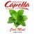 Capella Cool Mint Flavor (rebottled) 10ml