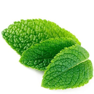 Inawera Mint flavor 10ml