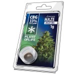 Plant Of Life CBG Jelly 33% Amnesia Haze 1gr - Χονδρική