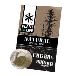 Plant Of Life Pollen 28% CBG Natural 1gr