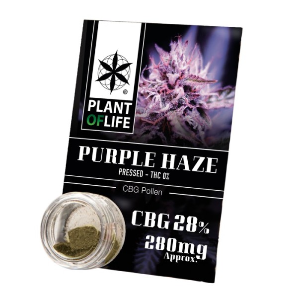 Plant Of Life Pollen 28% CBG Purple Haze 1gr - Χονδρική
