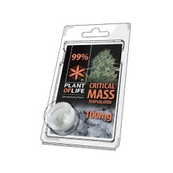 Plant of Life Terpsolator 99% CBD Critical Mass 100mg