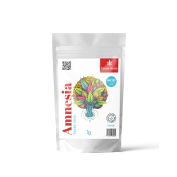 Hemp Heals H4CBD Amnesia 1gr