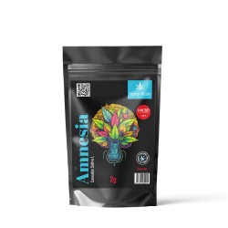 Hemp Heals H4CBD Amnesia 2gr