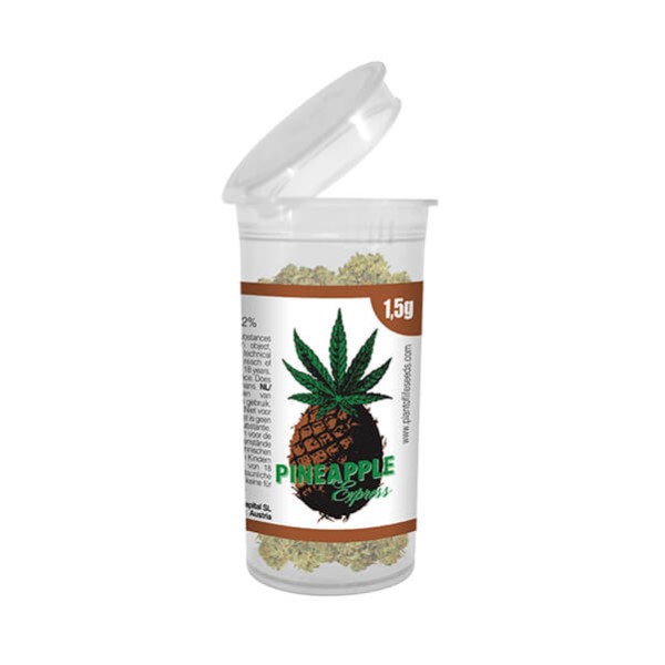 Plant Of Life Pineapple Express 1.5g - Χονδρική
