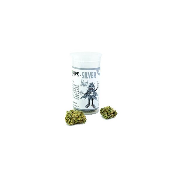 Plant Of Life Silver Bud 1.5g - Χονδρική