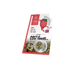 Plant Of Life Strawberry 0.5g