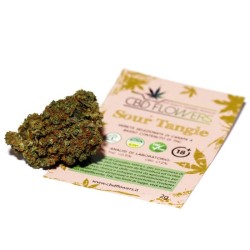 CBD Flowers Sour Tangie 1g