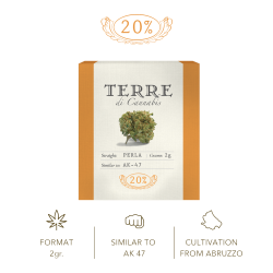 Terre Perla 2gr