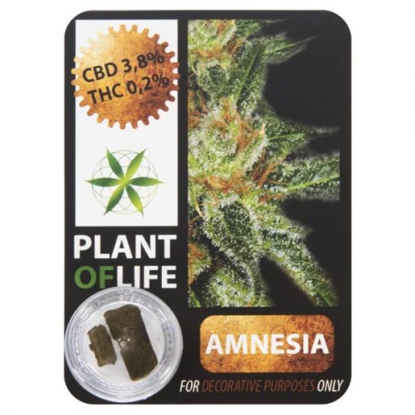 Plant Of Life CBD 3.8% Amnesia - Χονδρική