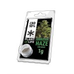Plant Of Life CBD Solid 10% Amnesia Haze - Χονδρική