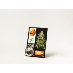 Plant Of Life CBD 3.8% Critical