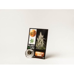 Plant Of Life CBD 3.8% Gorilla Glue