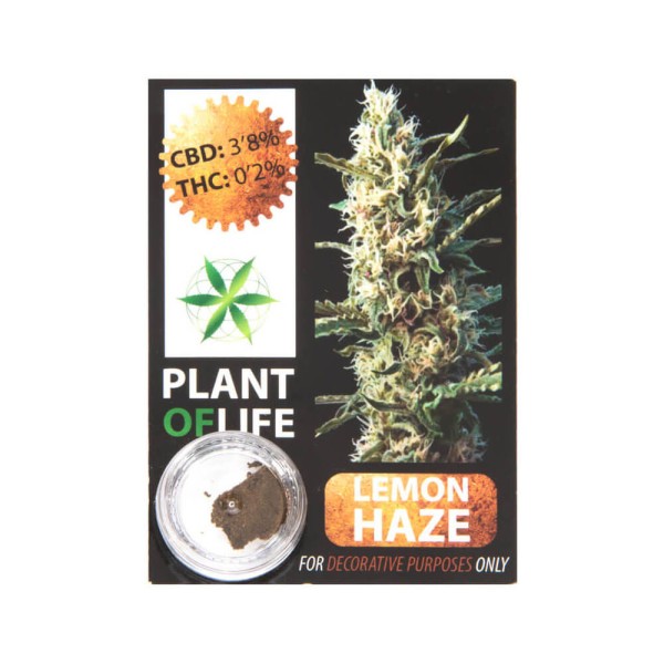 Plant Of Life CBD 3.8% Lemon Haze - Χονδρική