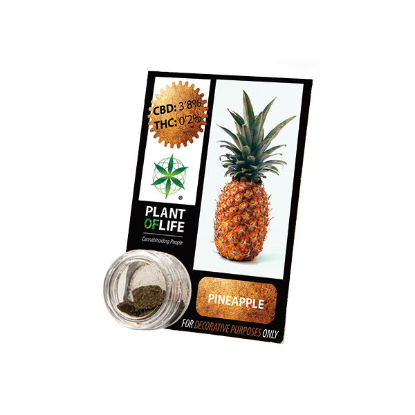 Plant Of Life CBD 3.8% Pineapple 1gr - Χονδρική