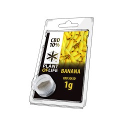 Plant Of Life CBD Solid 10% Banana