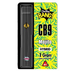 Deltabang Mojito CB9 Disposable 1ml