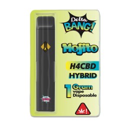 Deltabang Mojito H4CBD Disposable 1ml