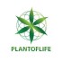 Plant Of Life (18)